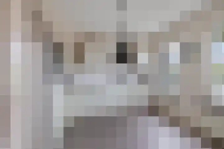 de Finne 3 Wytgaard thumbnail 9