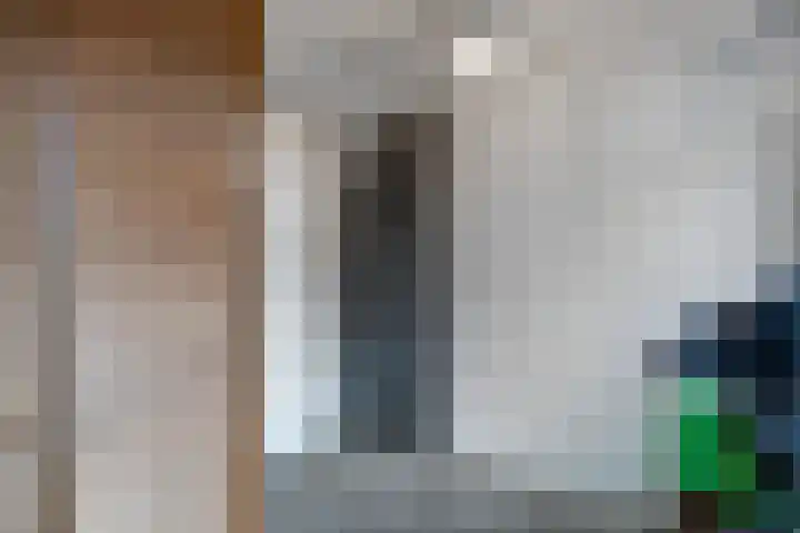 de Finne 46 Minnertsga thumbnail 13