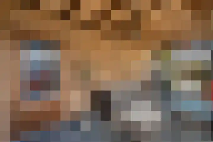 de Finne 46 Minnertsga thumbnail 18