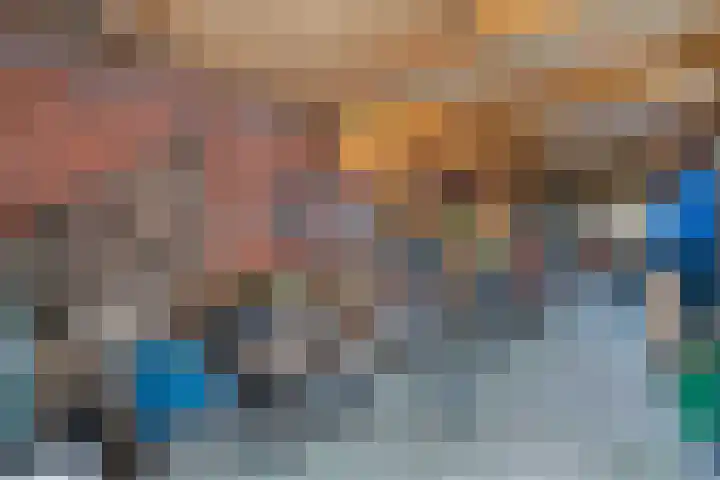 de Finne 46 Minnertsga thumbnail 20