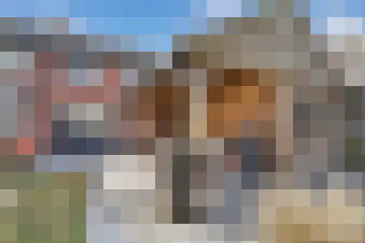 de Finne 46 Minnertsga thumbnail 21