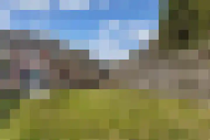de Finne 46 Minnertsga thumbnail 23
