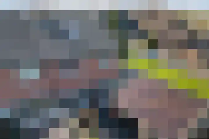 de Finne 46 Minnertsga thumbnail 24