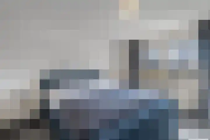 de Finne 46 Minnertsga thumbnail 26