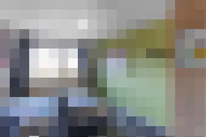 de Finne 46 Minnertsga thumbnail 28