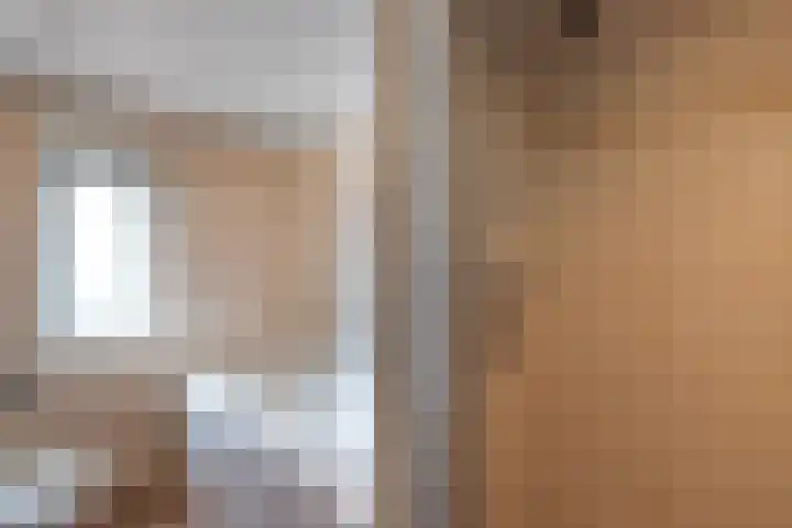 de Finne 46 Minnertsga thumbnail 32