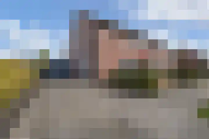 de Finne 46 Minnertsga thumbnail 35