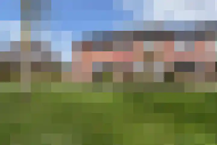 de Finne 46 Minnertsga thumbnail 36