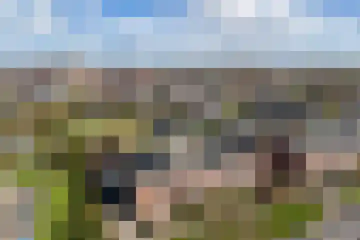 de Finne 46 Minnertsga thumbnail 37