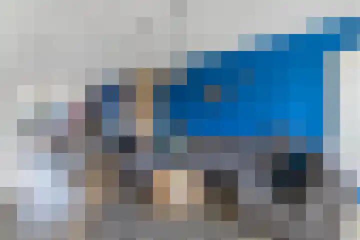 de Finne 46 Minnertsga thumbnail 5