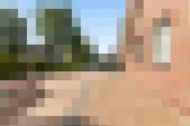 De Finne 7 Sumar thumbnail 16