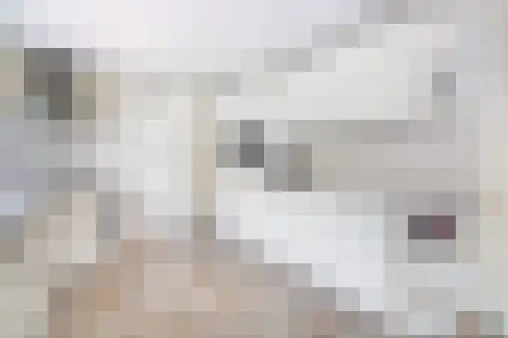 De Finne 7 Sumar thumbnail 25