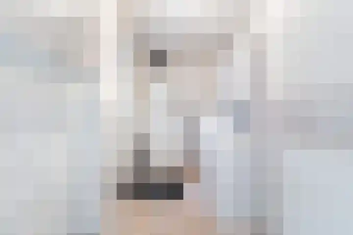 De Finne 7 Sumar thumbnail 27