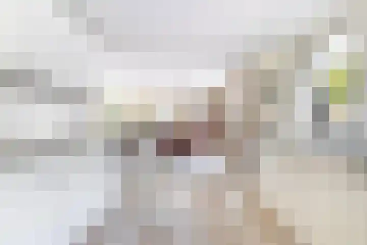 De Finne 7 Sumar thumbnail 29