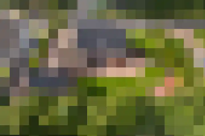 De Finne 7 Sumar thumbnail 5