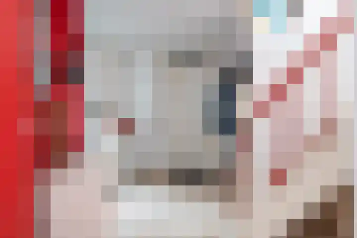 De Fisker 3 Grou thumbnail 10