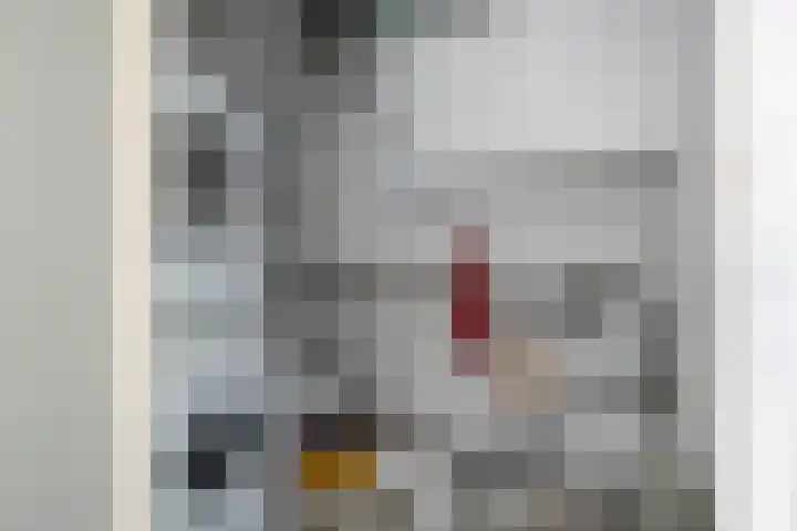 De Fisker 3 Grou thumbnail 13