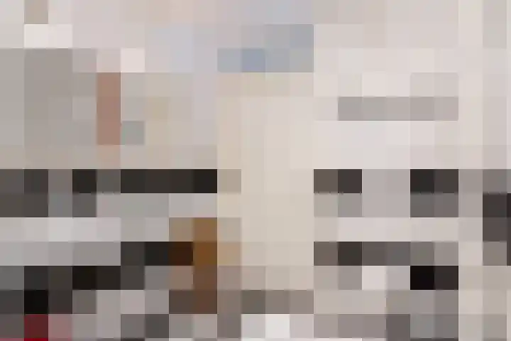 De Fisker 3 Grou thumbnail 24