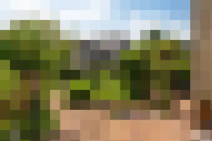 De Fisker 3 Grou thumbnail 35