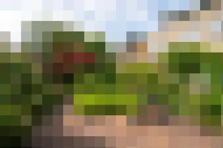 De Fisker 3 Grou thumbnail 39