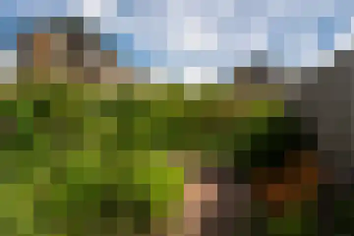 De Fisker 3 Grou thumbnail 40