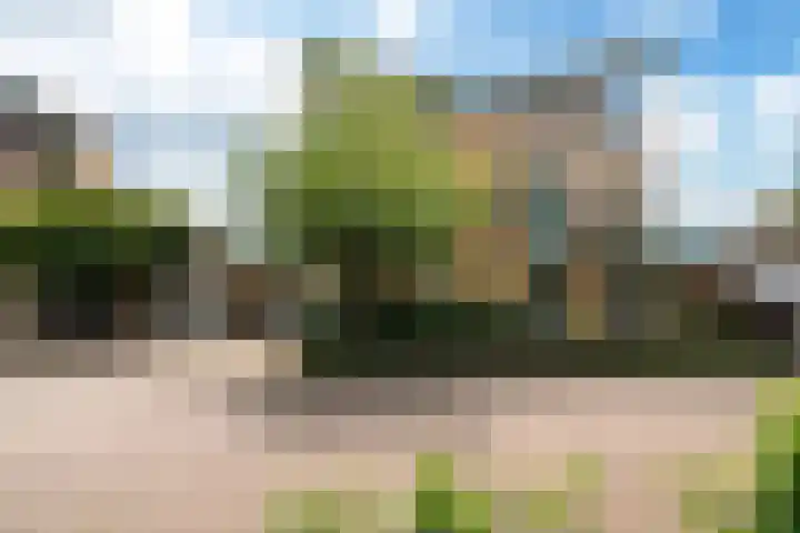 De Fisker 3 Grou thumbnail 44