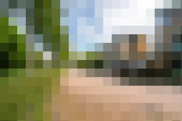 De Fisker 3 Grou thumbnail 45