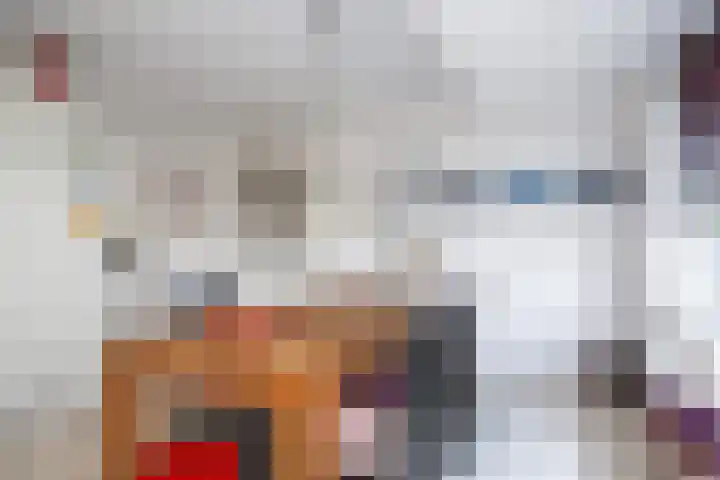 De Fisker 3 Grou thumbnail 9