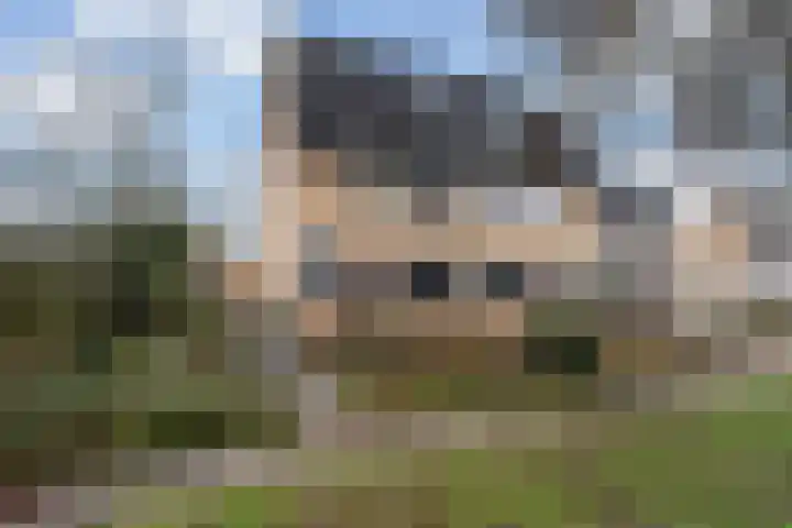 De Fjûrslach 10 in IJlst