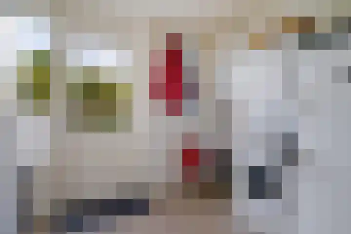 De Flechtreed 31 Oudemirdum thumbnail 12