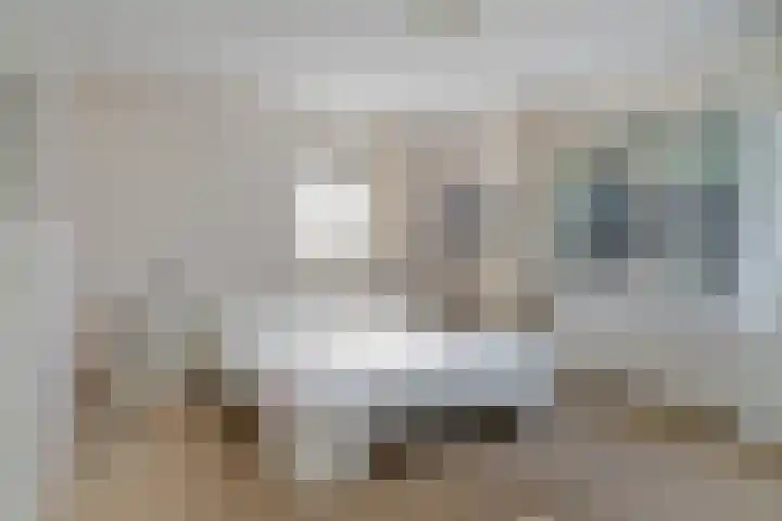 De Flechtreed 31 Oudemirdum thumbnail 13