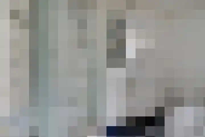 De Flechtreed 31 Oudemirdum thumbnail 16