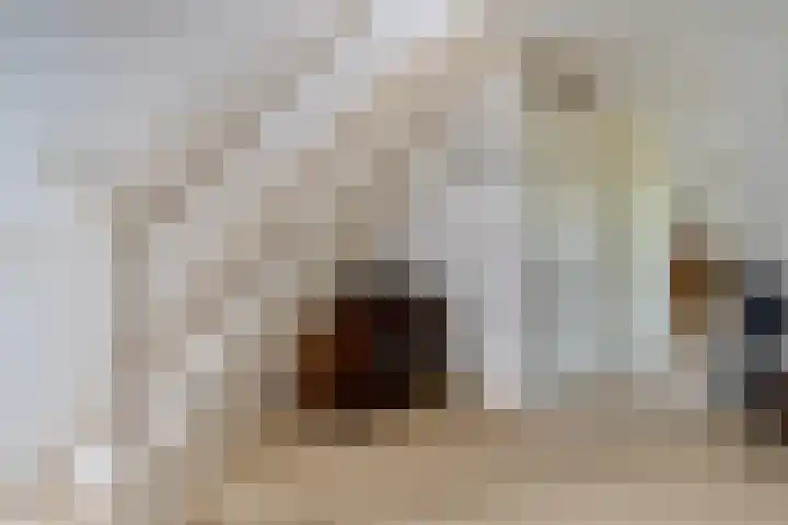 De Flechtreed 31 Oudemirdum thumbnail 19