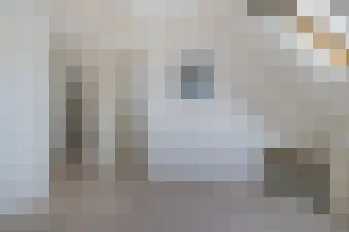 De Flechtreed 31 Oudemirdum thumbnail 21