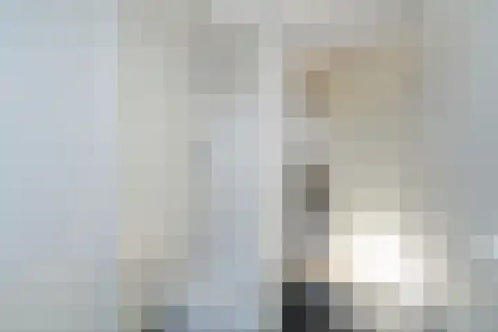De Flechtreed 31 Oudemirdum thumbnail 29