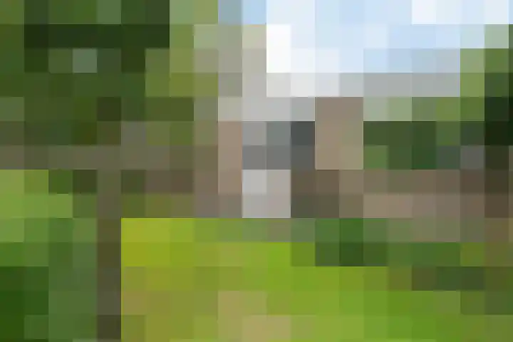 De Flechtreed 31 Oudemirdum thumbnail 33