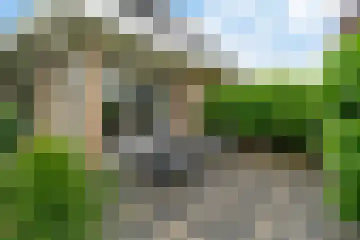 De Flechtreed 31 Oudemirdum thumbnail 35