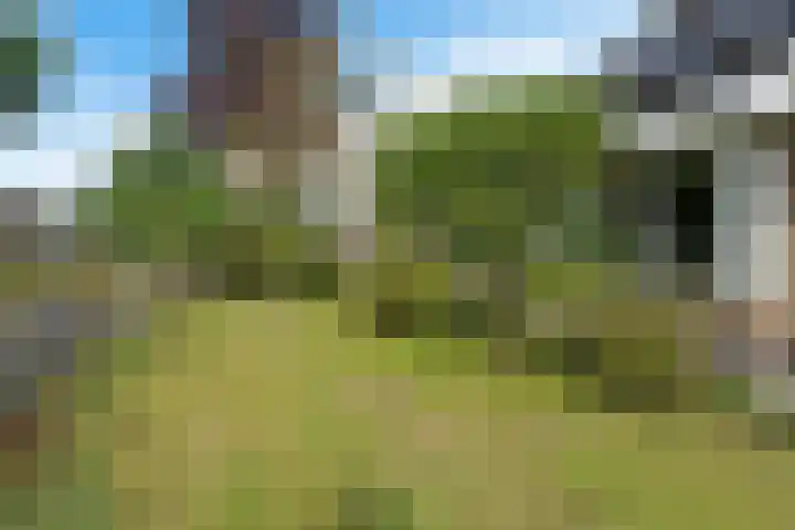 De Flechtreed 31 Oudemirdum thumbnail 38