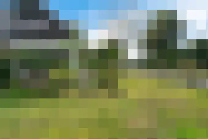 De Flechtreed 31 Oudemirdum thumbnail 39
