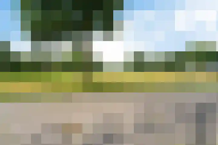 De Flechtreed 31 Oudemirdum thumbnail 40