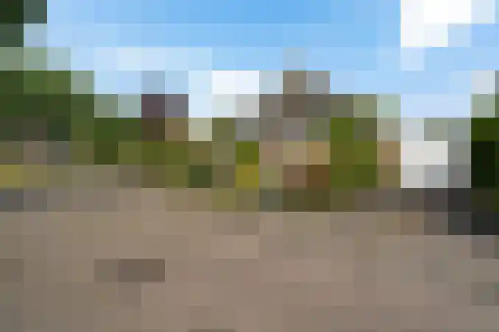 De Flechtreed 31 Oudemirdum thumbnail 42
