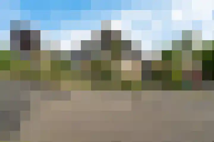 De Flechtreed 31 Oudemirdum thumbnail 43