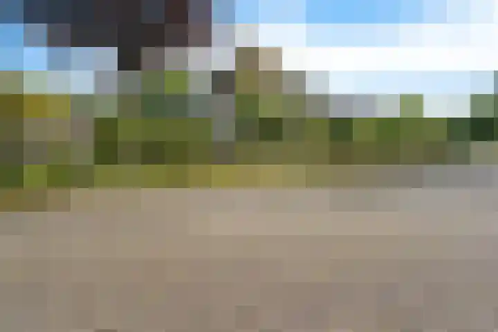 De Flechtreed 31 Oudemirdum thumbnail 45