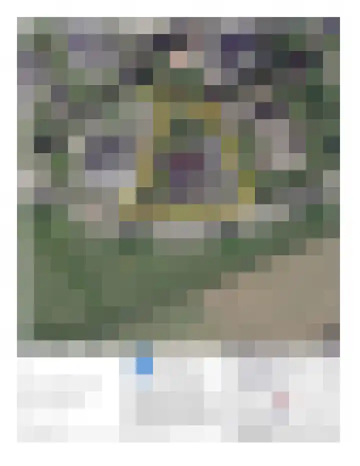 De Flechtreed 31 Oudemirdum thumbnail 49