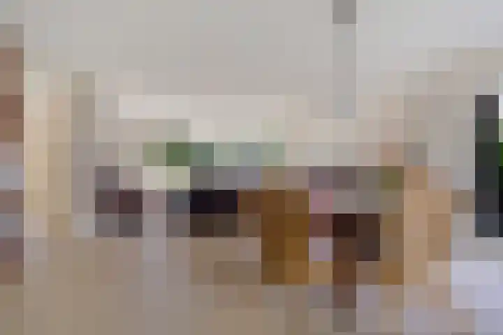 De Flechtreed 31 Oudemirdum thumbnail 6