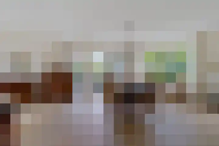 De Flechtreed 31 Oudemirdum thumbnail 7