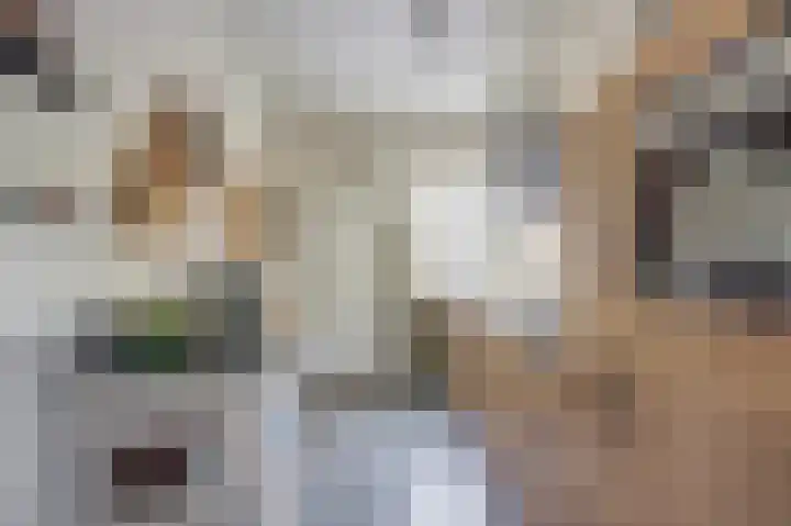 De Flechtreed 7 Oudemirdum thumbnail 10