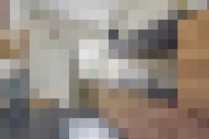 De Flechtreed 7 Oudemirdum thumbnail 11
