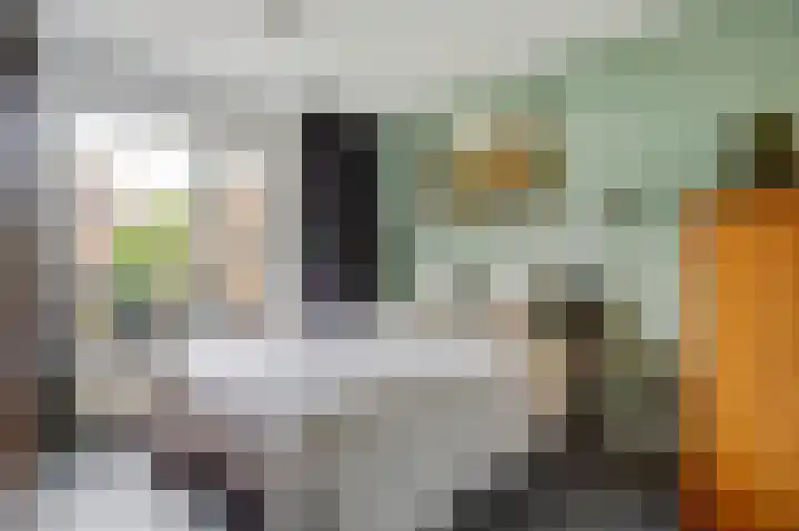 De Flechtreed 7 Oudemirdum thumbnail 15