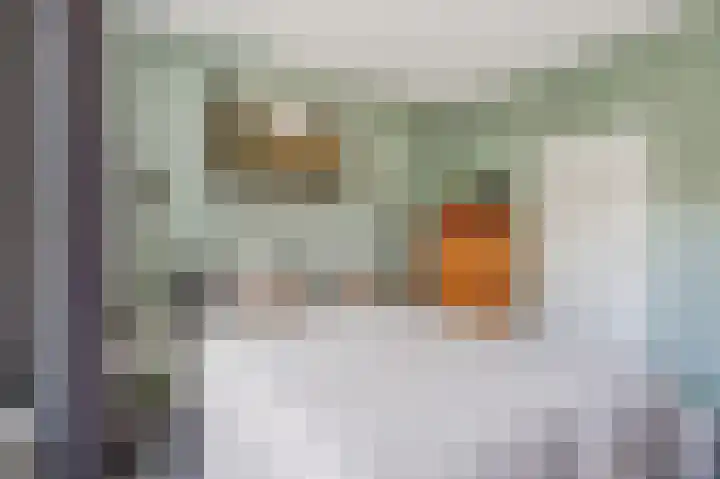 De Flechtreed 7 Oudemirdum thumbnail 16